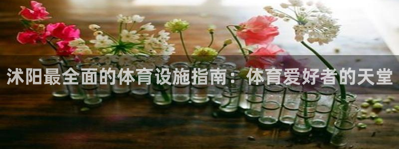 意昂3娱乐40996：沭阳最全面的体育设施指南：体育