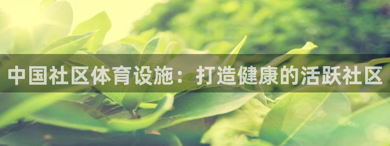 意昂体育3招商电话号码查询是多少：中国社区体育设施：