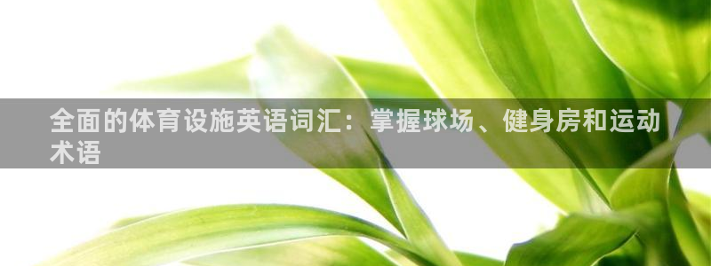 意昂体育3平台是正规平台吗：全面的体育设施英语词汇：