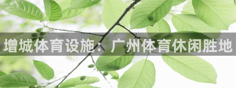 意昂体育3招商电话号码是多少啊